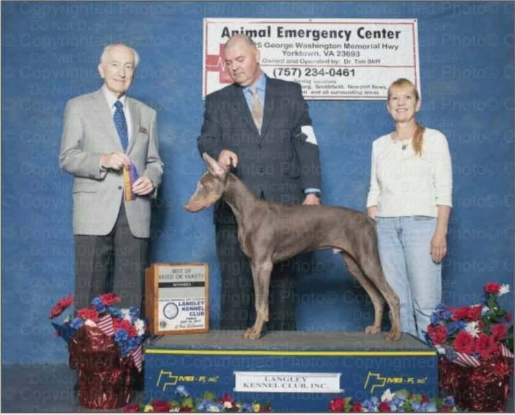 Three people pose with a dog at an Animal Emergency Center award display.