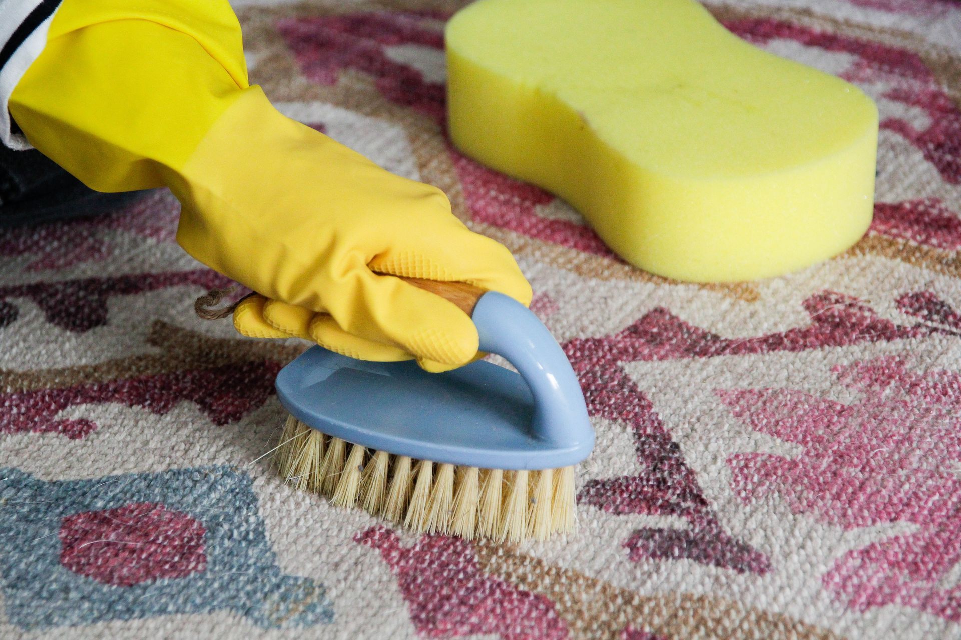 A person is cleaning a rug with a brush and sponge.