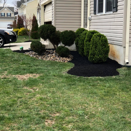 Green lawn with black mulch and various trimmed shrubs near a light-colored house with a partially visible car.