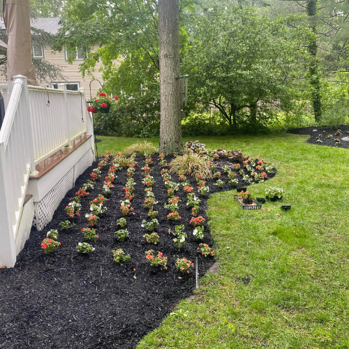 Flowers planted in black mulch around a tree and near a white deck; green lawn in the background.