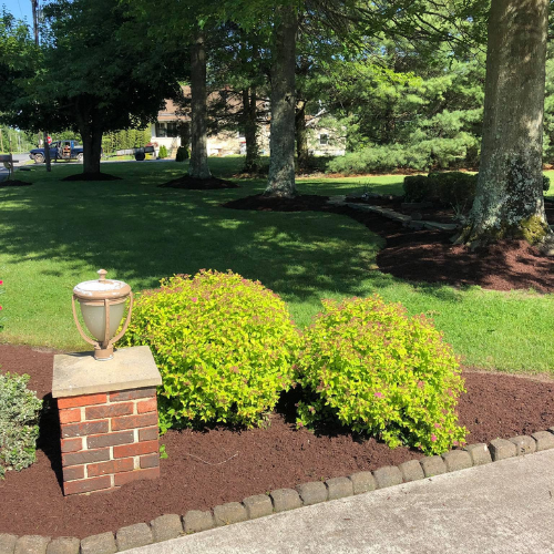 A brick post with a lamp in a landscaped yard with green bushes and trees.