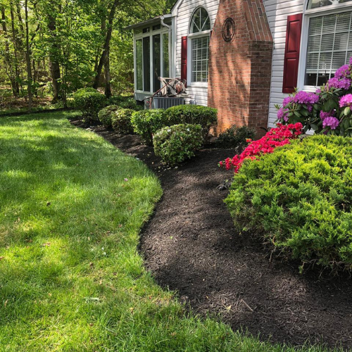 Well-manicured lawn and garden bed in front of a white house with red shutters.