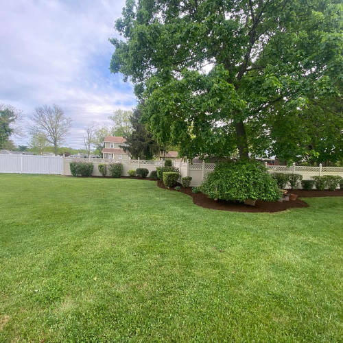 Green lawn with a white fence and trimmed bushes under a large tree.