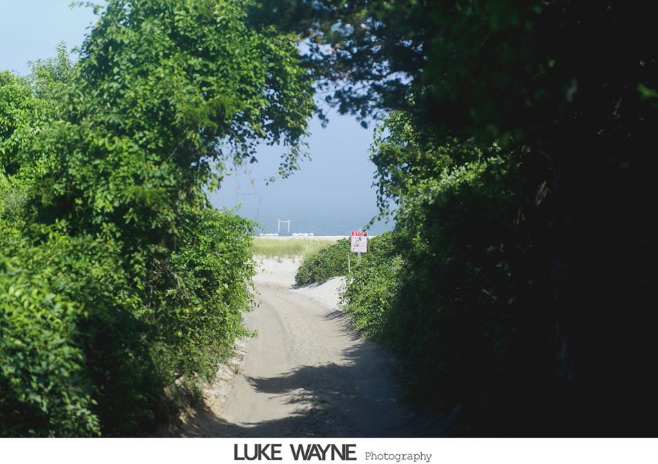 Dirt path framed by lush green foliage leading to a sandy beach. Bright blue sky visible.