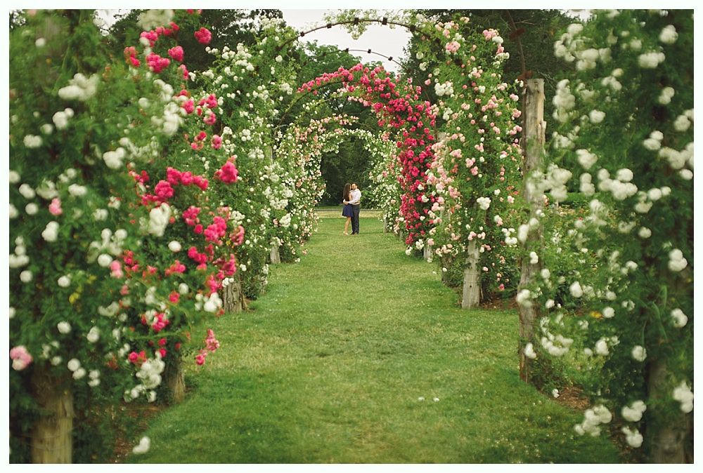 Bride and bridesmaids pose on a bridge with flower bouquets. They wear pink dresses.