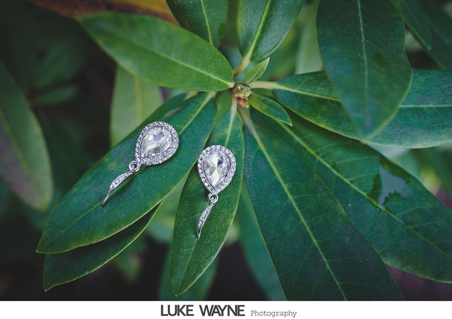 Elegant teardrop earrings with crystals resting on a glossy green leaf.