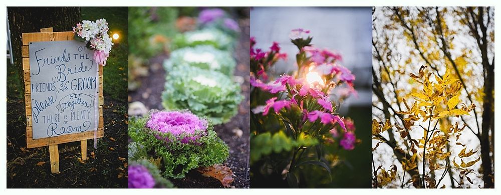 Four panels of nature: an event sign, plants in garden, flowers with sunlight, yellow tree branches.