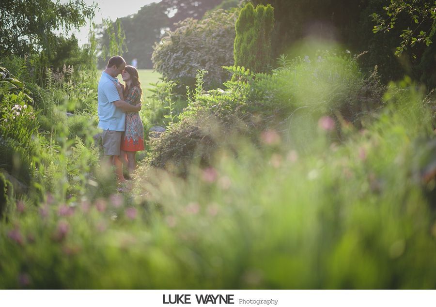 Couple embraces in a sunny garden, surrounded by lush greenery and flowers.