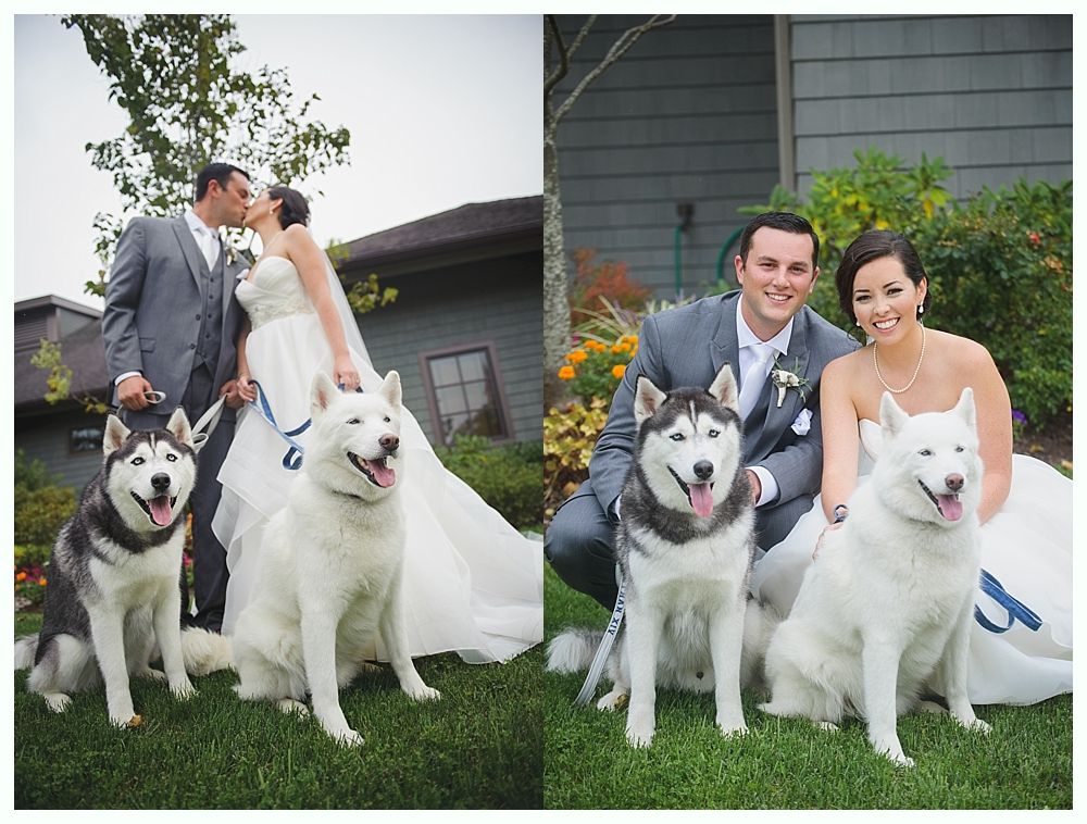 Bride and groom kissing, with two huskies, posed on the lawn in front of a building.