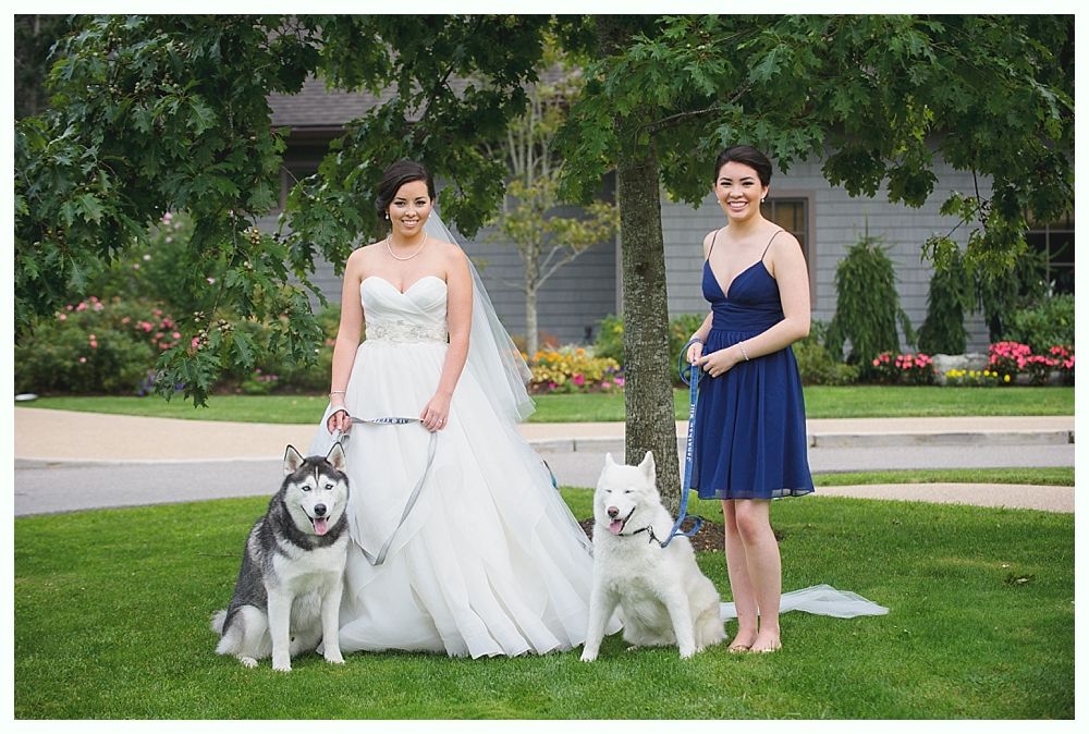 Bride with two Huskies and bridesmaid in a blue dress. They stand in a grassy yard.