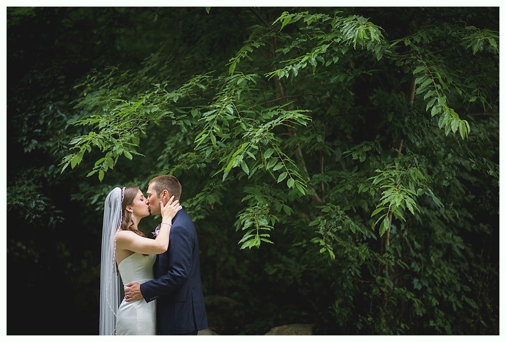Bride and groom kissing under a large, leafy green tree, soft lighting, wedding attire.