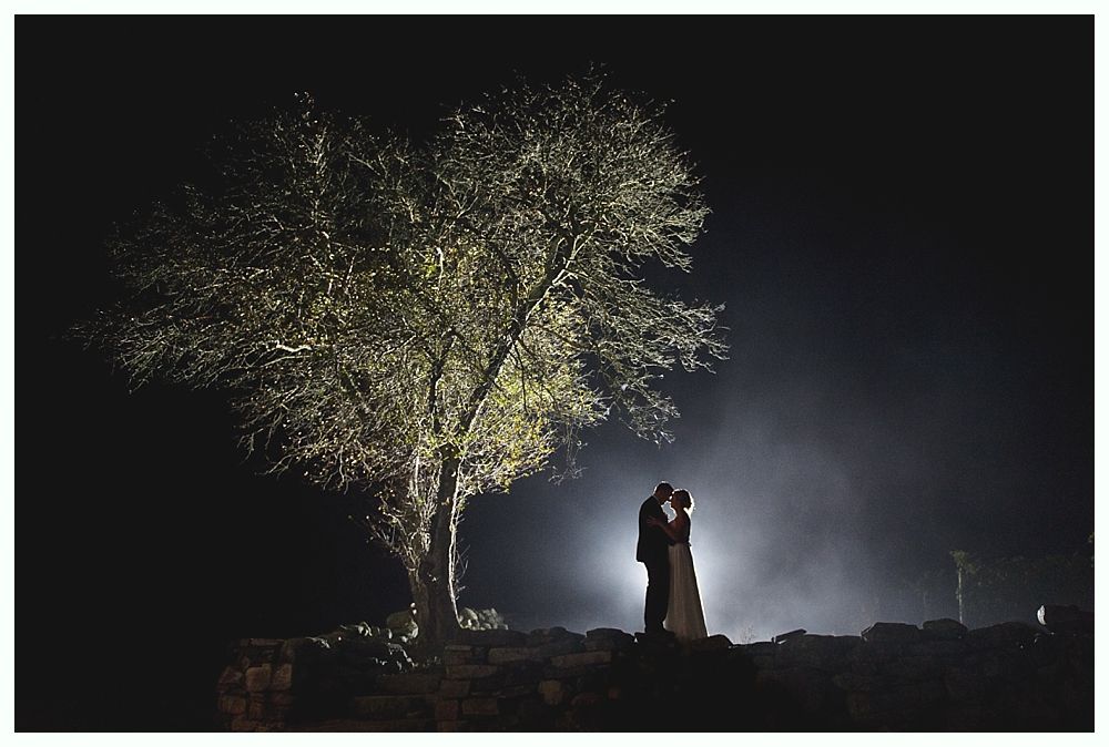 Couple kissing under a tree illuminated by a spotlight against a dark sky.