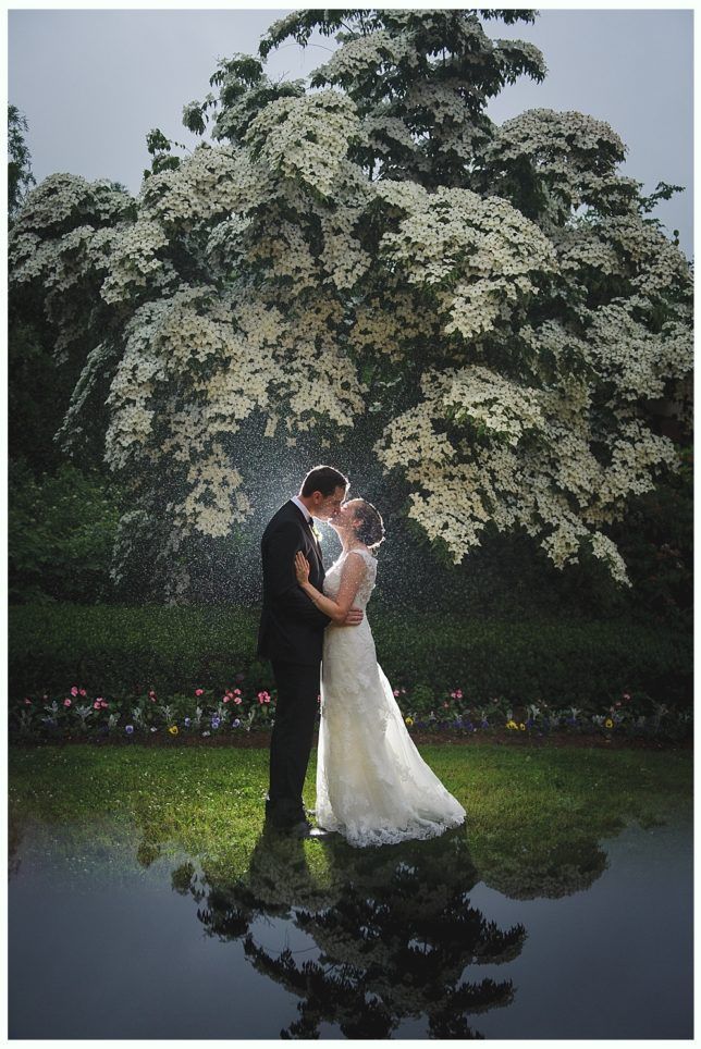 Bride and groom kissing, standing in front of a blooming tree. Rain is falling, and a reflection is visible in the water.