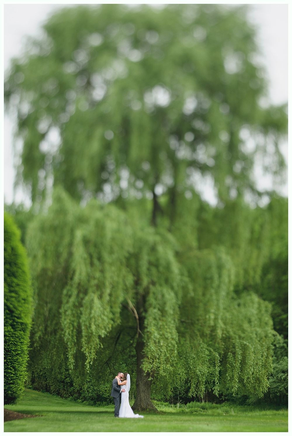 Couple embracing under a weeping willow tree on a grassy lawn. The bride wears a white dress and the groom wears a grey suit.