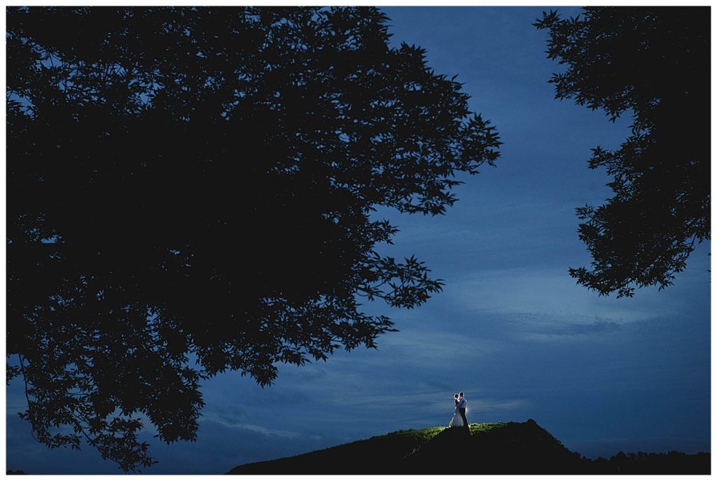 Silhouetted trees frame a hill where a figure stands, illuminated against a blue dusk sky.