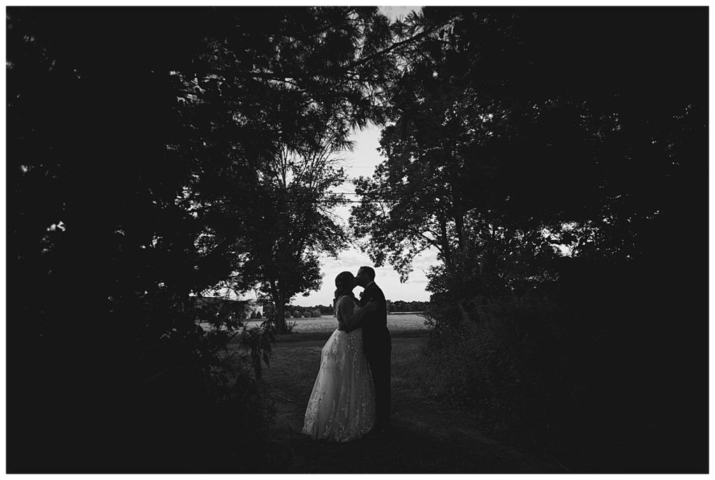Couple kissing silhouetted against a bright sky, framed by dark trees.