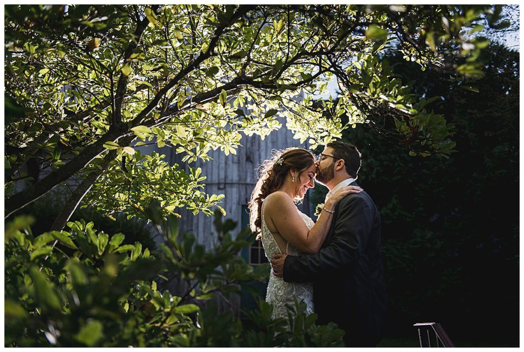 Couple embraces under a tree with sunlight streaming through leaves. The setting appears to be outdoors.