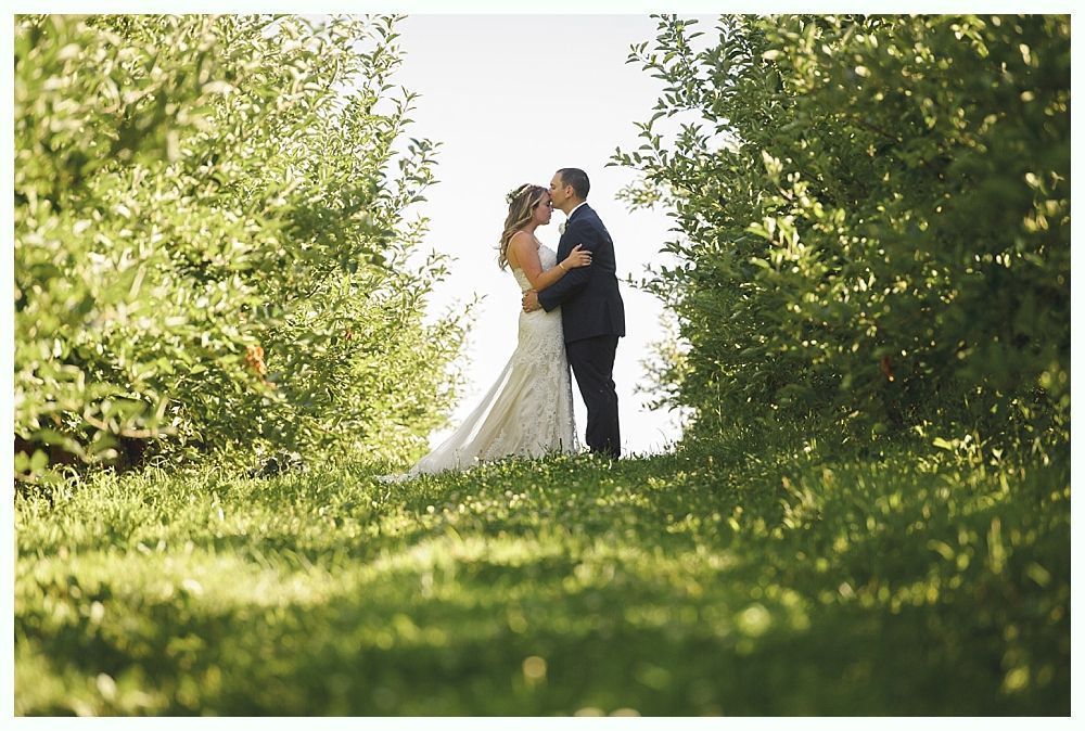 Couple kissing, framed by trees, bathed in sunlight. Bride in gown, groom in suit.