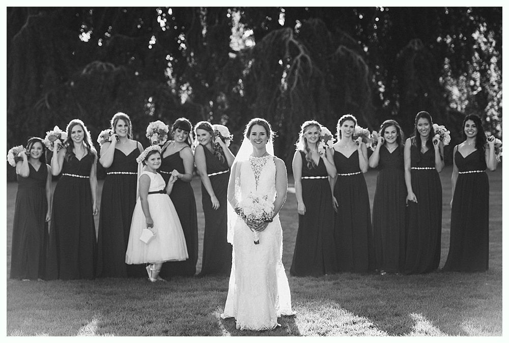 Wedding ceremony: Couple kissing at altar under weeping willow tree; bridal party and guests watching.