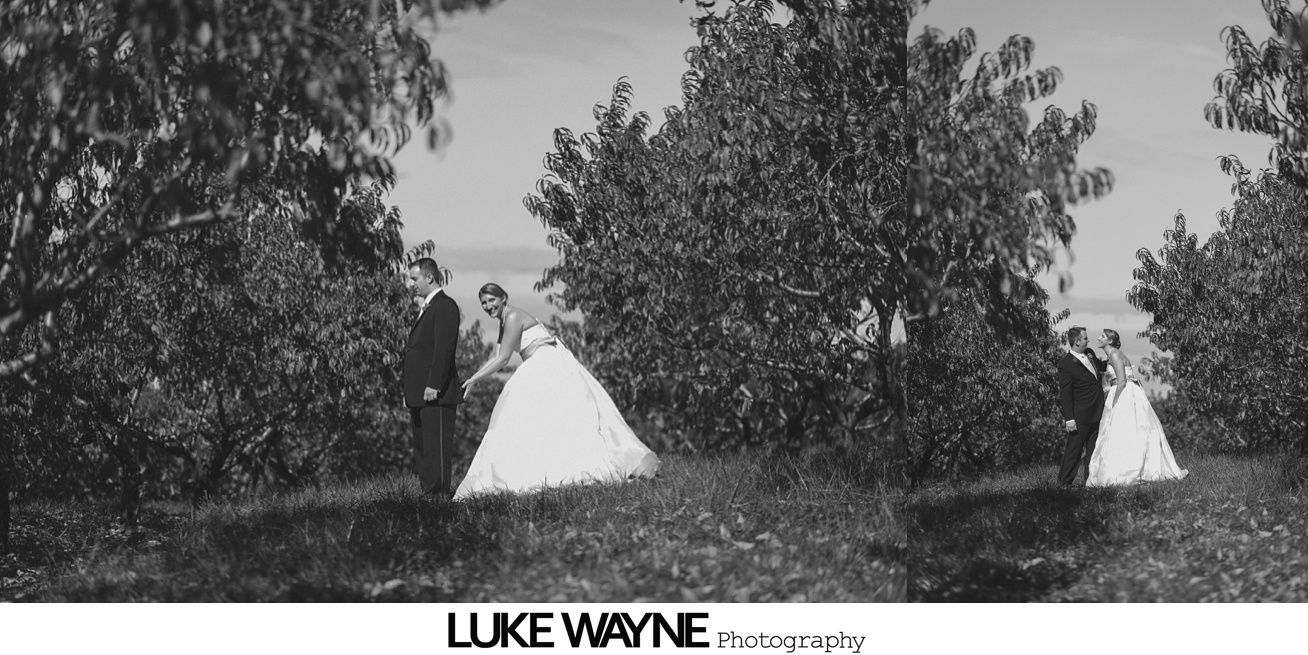 Wedding party, couple in formal attire, posing in a grassy area among trees, black and white photograph.