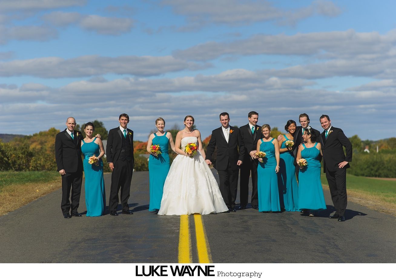 Wedding party poses on a road under blue sky, bride in white gown, bridesmaids in teal.