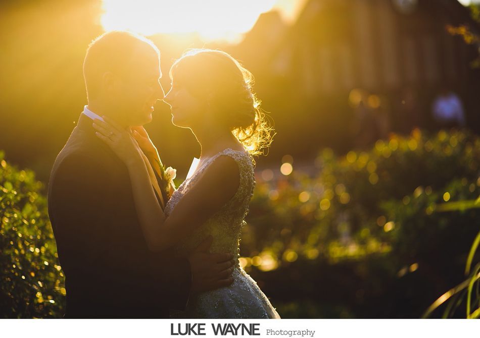Couple embraces in golden sunlight during a wedding, set in a garden with greenery in the background.