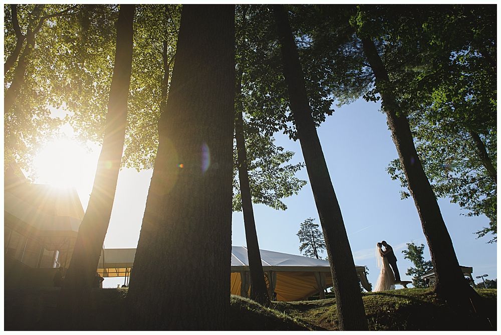 Sunlight streams through trees onto a couple embracing outdoors, with a building in the distance.