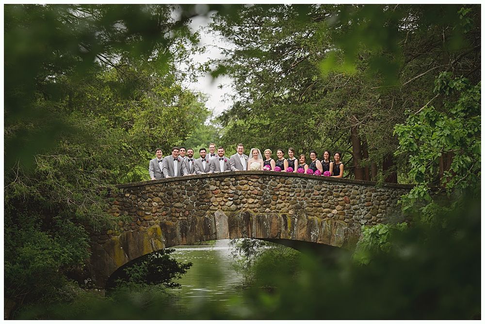 Wedding party poses on a stone bridge, surrounded by greenery.