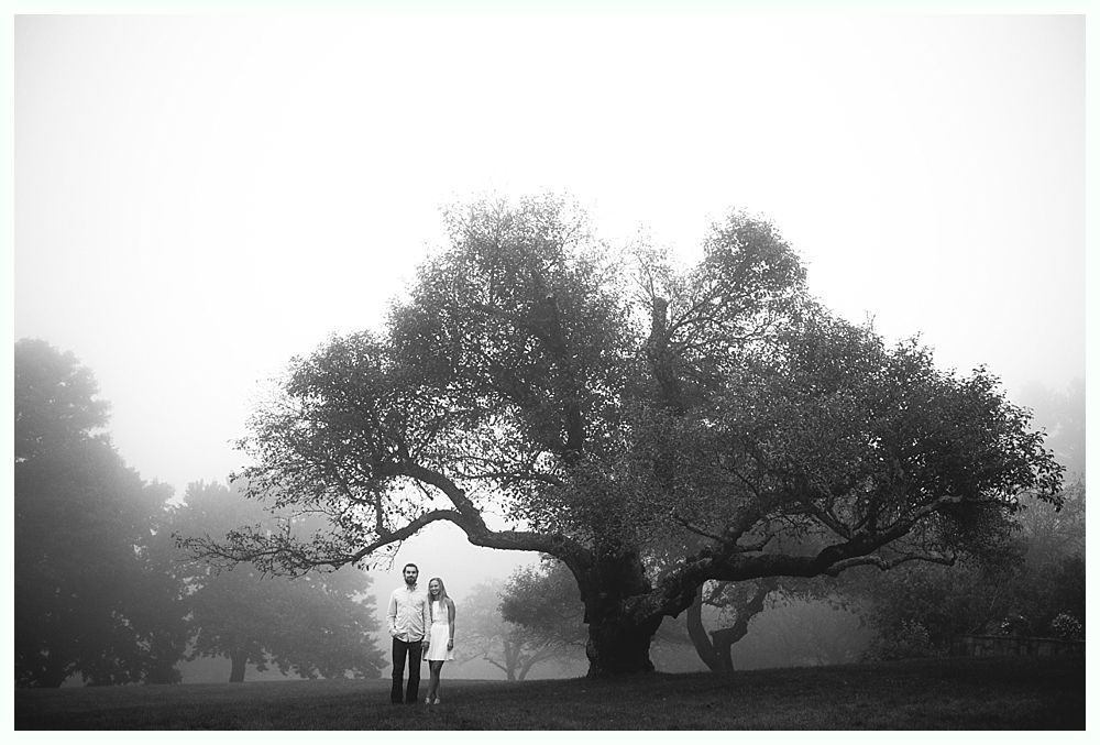 Couple standing under large tree in foggy park. Black and white photo.