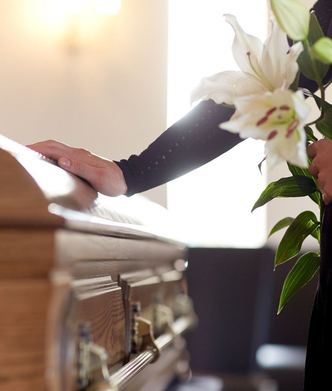 A person is holding a white flower in front of a coffin