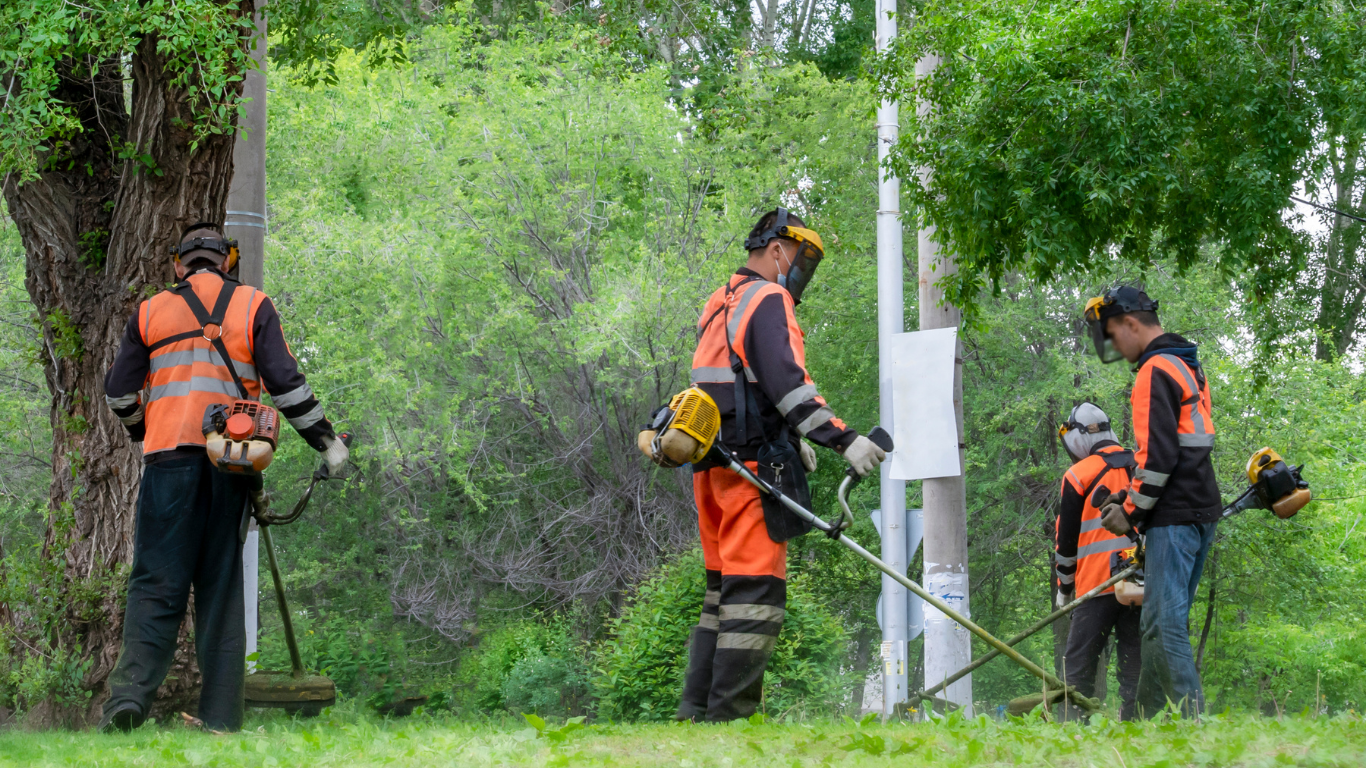 Four utility workers in orange safety gear inspect vegetation with tools near a wooded roadside.