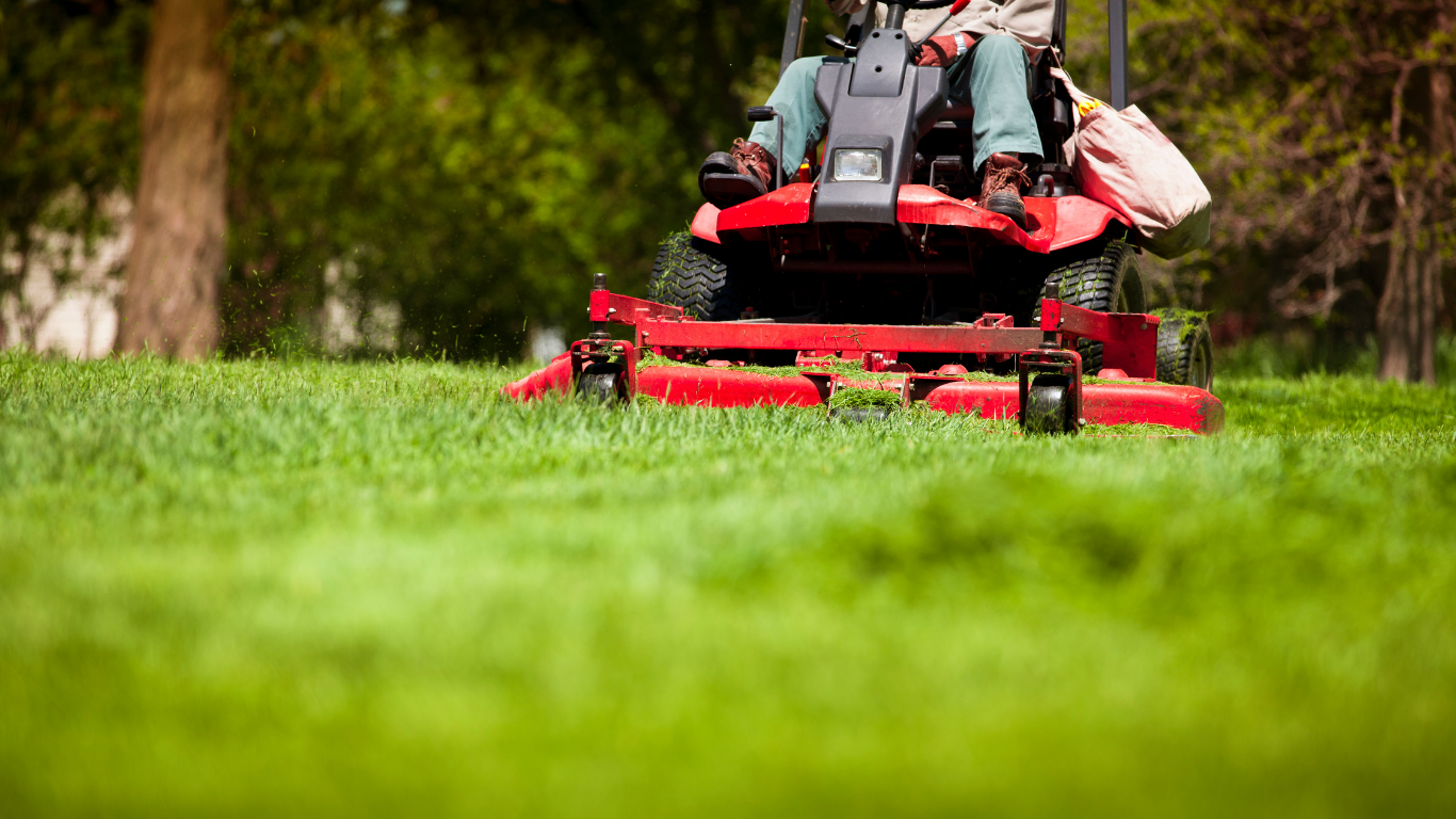 Red lawn mower cutting green grass in a garden