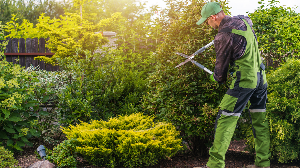 Gardener in green protective gear trimming dense shrubs in a sunlit garden