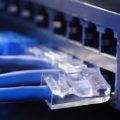 A close up of a blue ethernet cable plugged into a router.