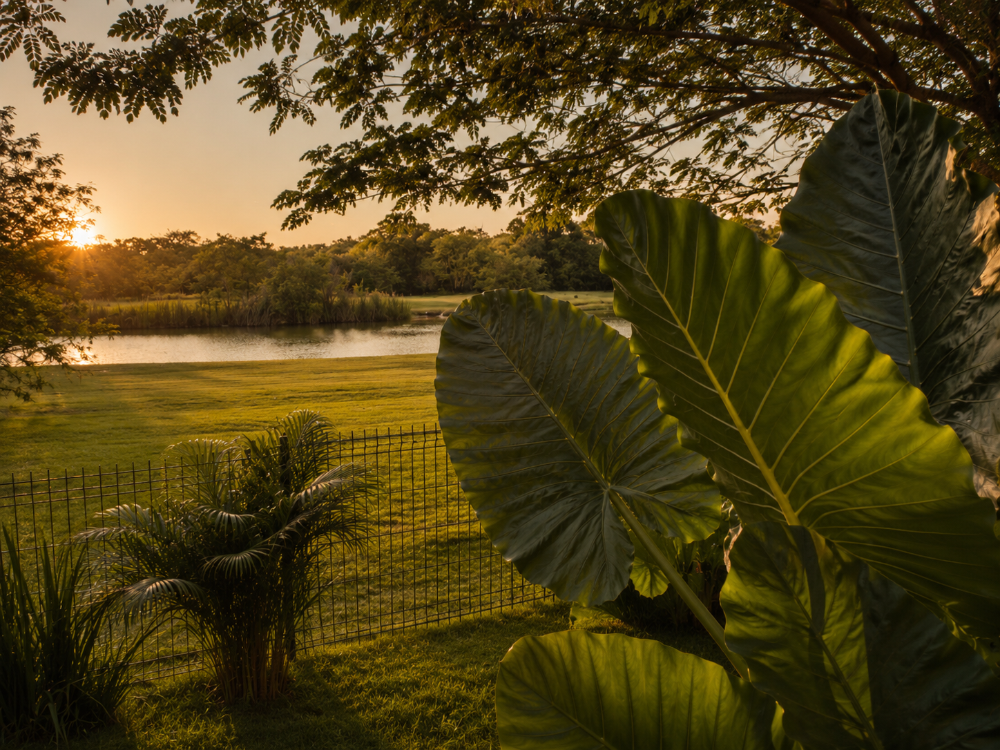 Casa Eusebio con lago, vegetación tropical y arquitectura al atardecer en Cabo Norte Mérida