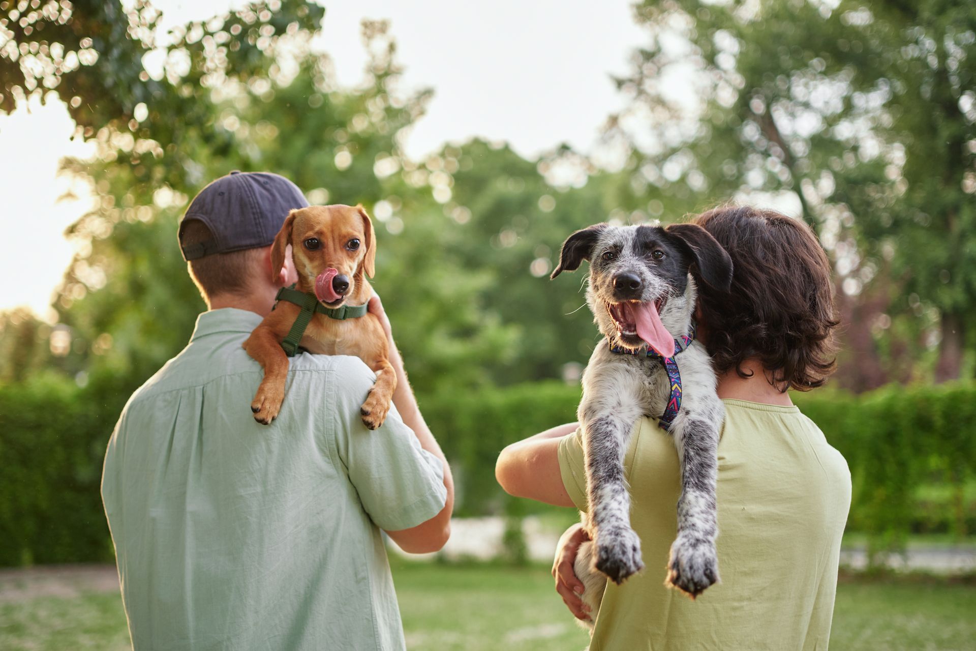A man and a woman are holding two dogs in their arms.