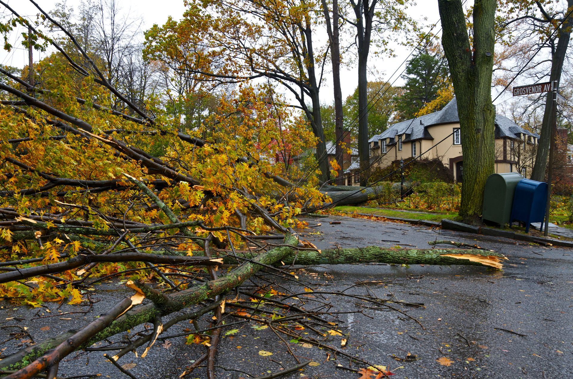 Fallen tree branches block a street, in front of a house, after a storm.