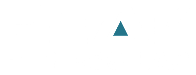 Small teal triangle centered on a white background