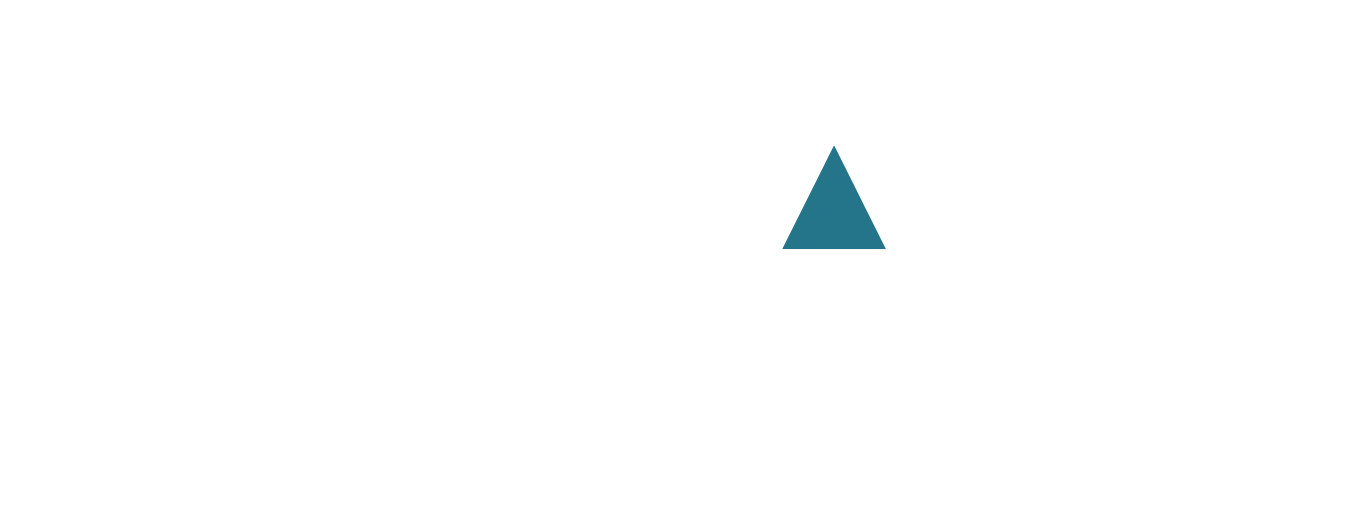 Small teal triangle centered on a white background.