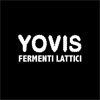 Yovis - Logo