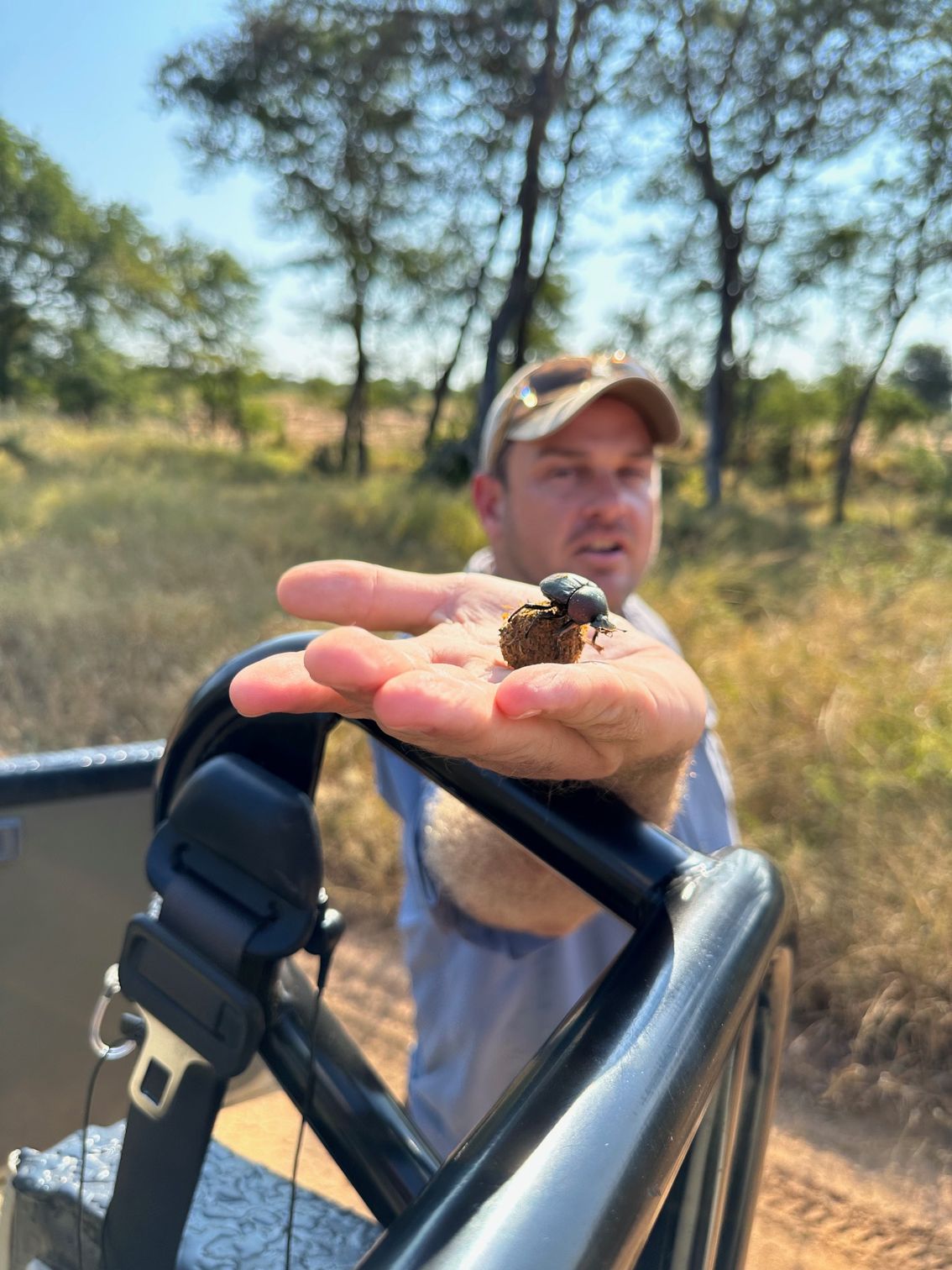 Interactive game drive
