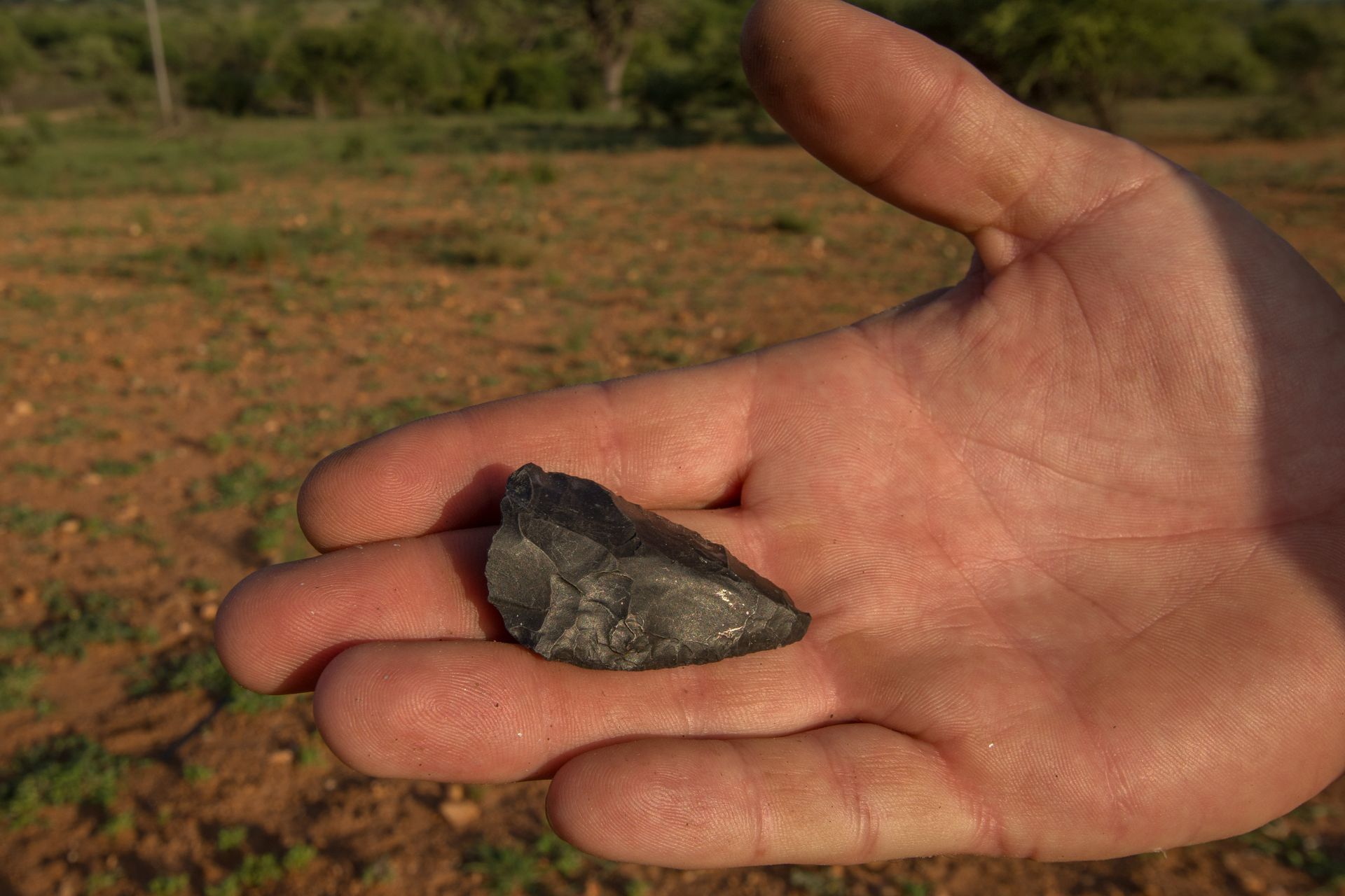 Ancient Arrow Head