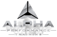 Logo for Alpha Performance Training with metallic gray text and a black triangular emblem