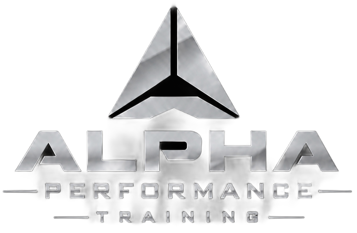 Logo for Alpha Performance Training with metallic gray text and a black triangular emblem