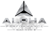 Logo for Alpha Performance Training with metallic gray text and a black triangular emblem