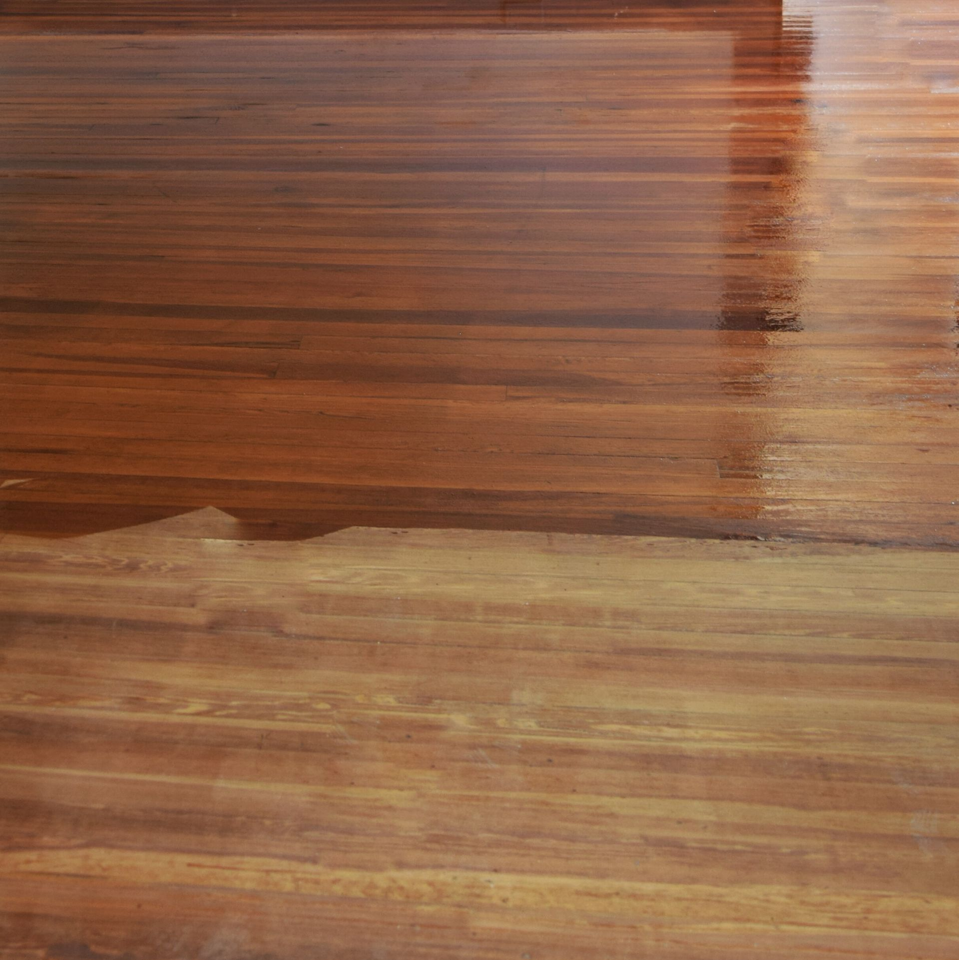 Shiny, newly-finished hardwood floor; varying shades of brown planks, reflecting light.