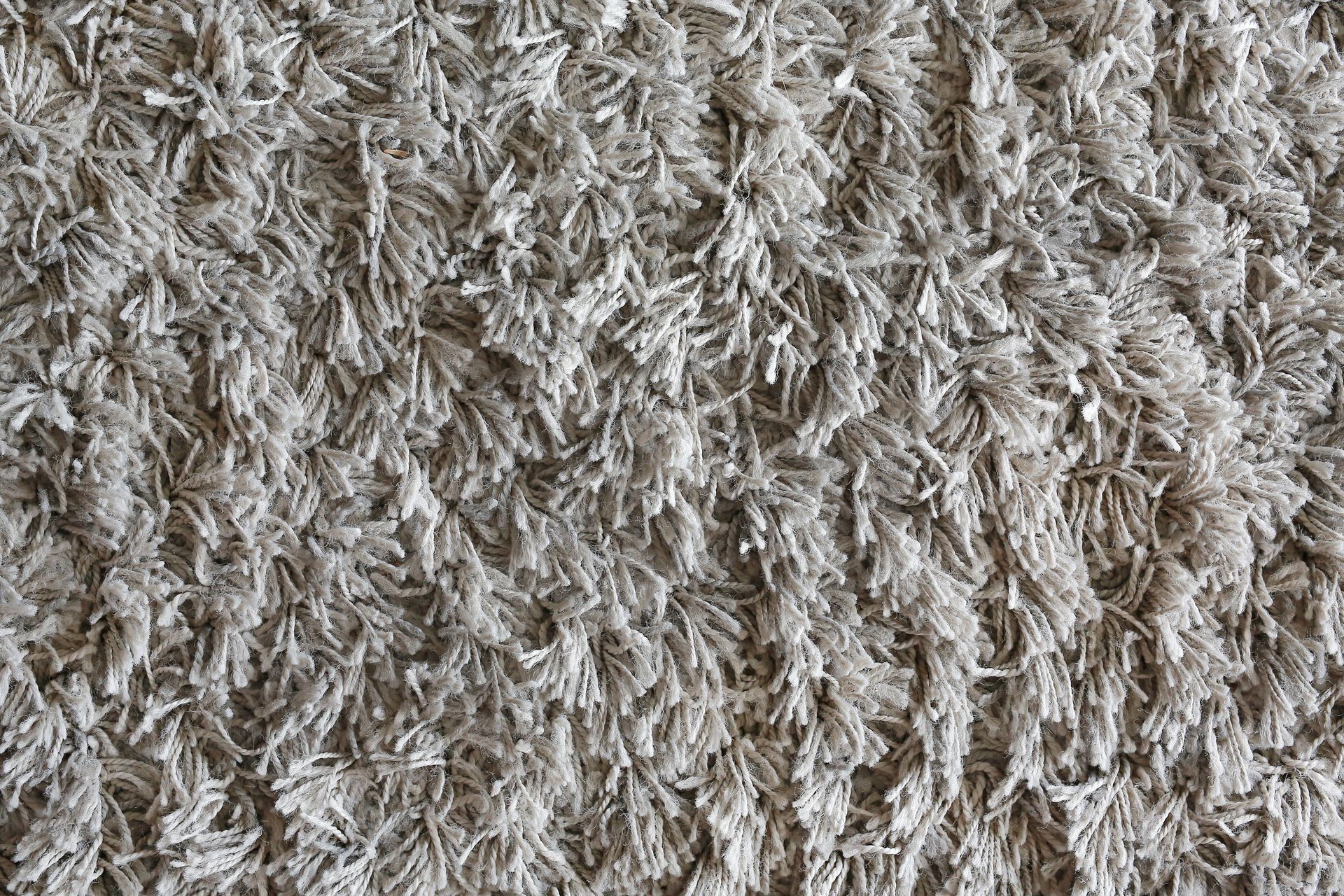 Close-up of a shaggy, light gray carpet texture.