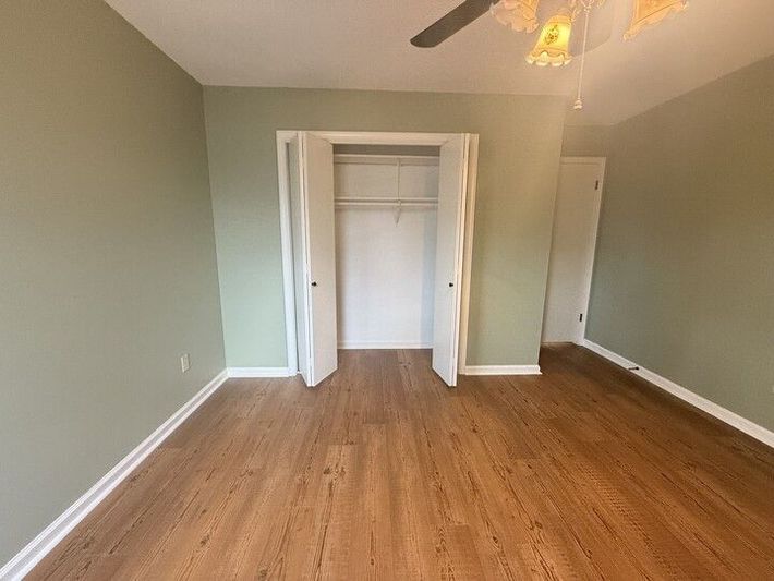 Empty bedroom with green walls, wood-look flooring, closet, and ceiling fan.
