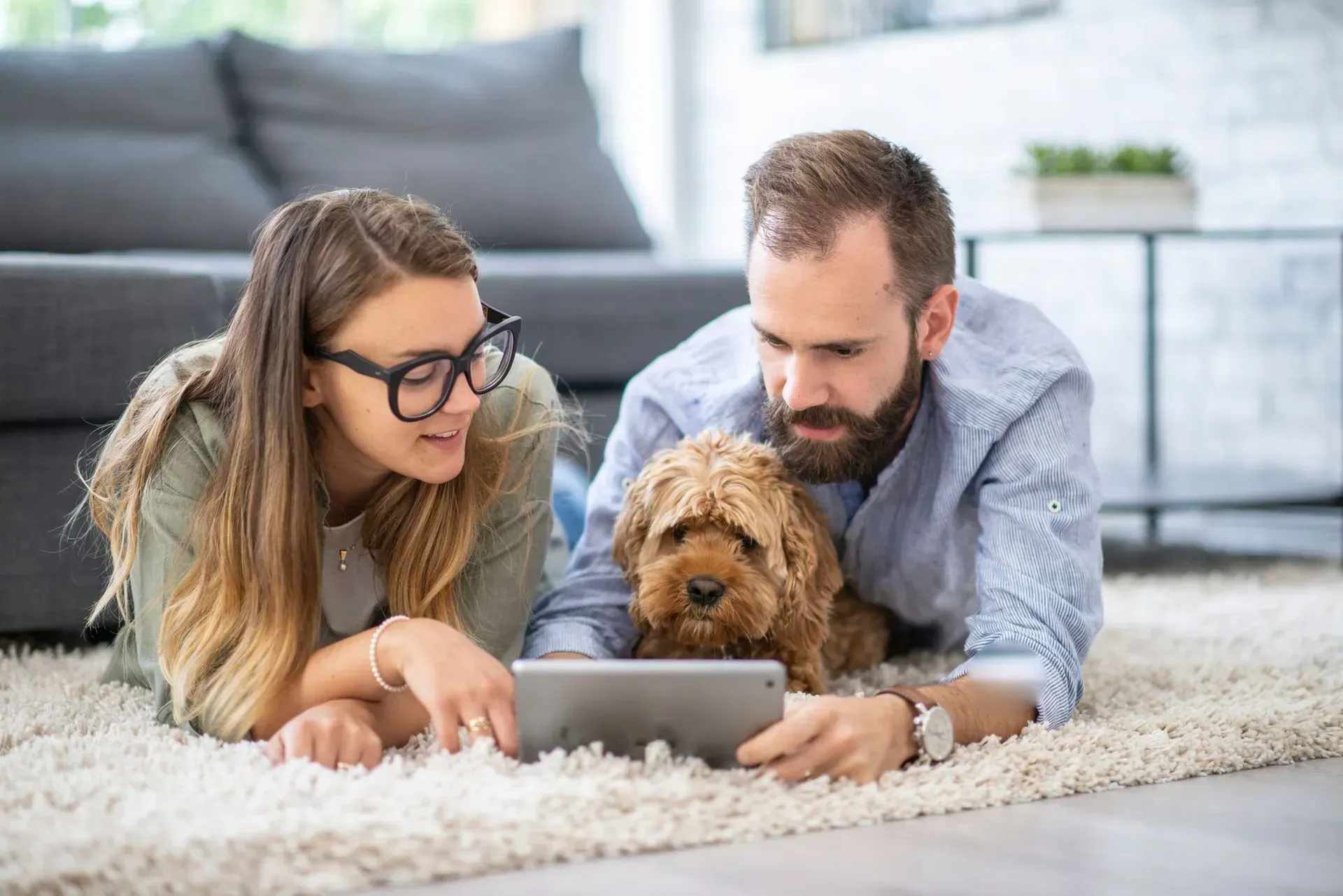 Couple and small dog looking at a tablet on a living room rug