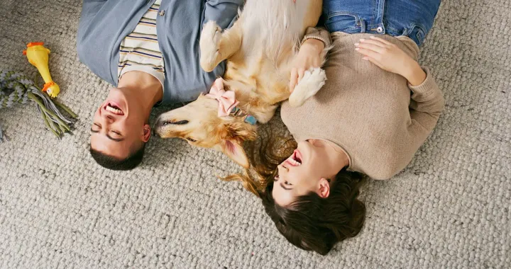 Two people lying on a carpet, smiling and cuddling a small dog with a toy nearby.